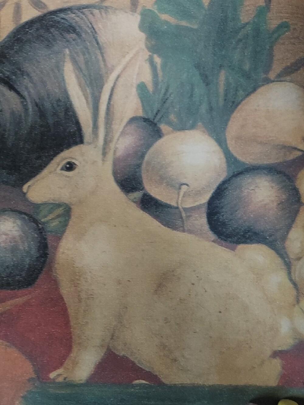 Rabbit & Fruit Vintage Style Wall Art Print - Pastel Neutrals - Picture 5 of 6